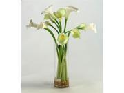 Calla Lilies in Tall Glass Vase