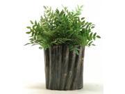 Green Locust Spray in Oval Ceramic Planter