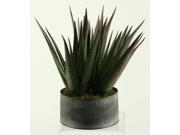 Agave Plant in Round Tin Planter