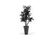 7 ft. Black Bird Nest Fern Tree in Tall Round Metal Planter