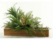 Mini Staghorn Fern and Mixed Foliage in Long Rectangular Planter
