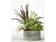 Mini Stag Horn Fern and Areca Grass in Oval Metal Planter