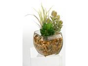 Succulent and Flocked Burro Tail in Clear Glass Cube