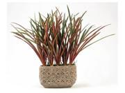 25 in. Burgundy and Areca Grass in Tall Oval Ceramic Planter