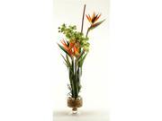 Bird Of Paradise with Orchids in Vase with Seagrass Netting