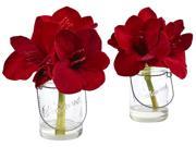 Amaryllis in Vase in Red Set of 2
