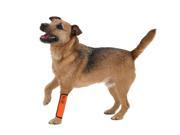 Extreme Neoprene Joint Protective Reflective Pet Sleeves