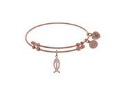 Brass with Pink Christian Fish Charm with White Cubic Zirconia on Pink Bangle