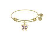 Brass with White Butterfly Charm with Purple White Cubic Zirconia on Yellow Bangle