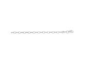 14kt 7 White Gold 3.2mm Diamond Cut Oval Rolo Chain