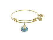 Brass with Yellow Finish Charm with Created Opal on Yellow Angelica Bangle