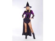 Witch Burlesque Medium Large Costume