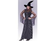 Celestial Sorceress Adult Medium Large Costume