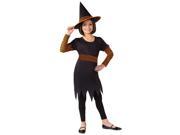 Witch Pumpkin Patch Child Medium Costume