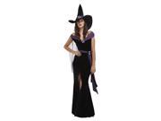 Elegant Witch Adult Costume Size Small