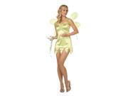 RG Costumes 81411 SM Small Fairy Lycra Costume Green
