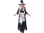 Salem Witch Adult Costume