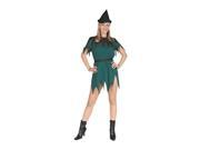 Lady Robin Hood Costume