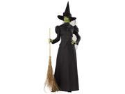 Witch Classic Deluxe Adult Costume