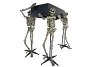 Skeleton Bearers with Coffin