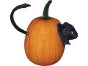 Cat Pumpkin Push In