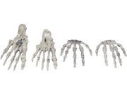 Hands And Feet Skeletal