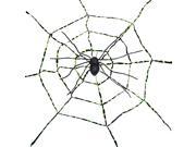 Spiderweb With Spider