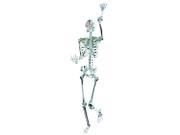 Skeleton Chrome Lightup 5Ft