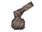 Republic Mens Striped Woven Microfiber Neck Tie Brown Size One Size