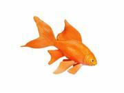 Safari Ltd Incredible Creatures Goldfish