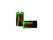 2 Pack Evergreen CR2 Fujifilm Fotonex Photo Lithium Batteries FAST USA SHIP