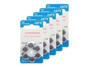 Hearing Aid Battery A675 B6_30 Evergreen 30pk Size 675 1.4V