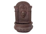 Sunnydaze Imperial Lion Outdoor Wall Fountain with Iron Finish