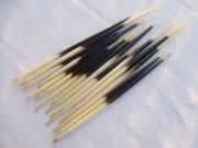 New 10PCS Porcupine Quills Crafts Arts Hairpin Medical Care 8.3 9.5 inch long Vintage Authentic Fishing Float