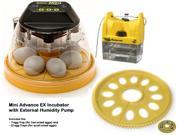 Mini Advance EX Egg Incubator