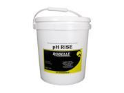 Robelle pH Rise 25 Lbs