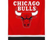 NBA Chicago Bulls Sidelines Wallhanging Accent