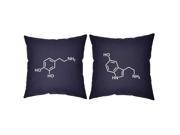 2pc Dopamine Serotonin Pillows 16x16 Blue Cotton Cushions