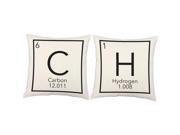 2pc Periodic Elements Pillows 18x18 White Cotton Cushions
