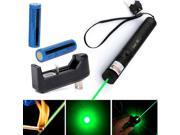 Military 532nm Zoomable Focus Burning Green Laser Pointer Pen 301 2xBattery