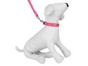 Dog Collar Leash w Embellished Bone Charms for Walking or Exercise Pink
