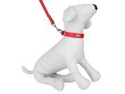 Dog Collar Leash w Embellished Bone Charms for Walking or Exercise Red