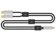 iFi Audio Gemini Dual Headed USB Cable Separate Audio Power Source Lines 0.7M