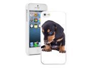 Apple iPhone 5 White 5W370 Hard Back Case Cover Color Cute Dachshund Puppy