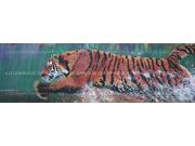 ClearVue Graphics Window Graphic 20x65 Tiger WLD 050 20 65