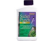 Sucker Punch Ready To Use With Brush Applicator