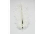 White Fashion Wedding Dye Ostrich Feather Wedding Party Decorations 6 8 Inches Pack Of 20