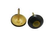 Round Large headed Nail 0.43 Diameter Balck and Golden Cat s Eye Type for Sofa Decoration Pack of 40