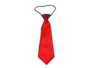 Boys Polyester Elastic Flexible Neck Tie One Size Red Pack Of 2