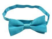 Boys Polyester Bow Tie Solid Color Blue Pack Of 2